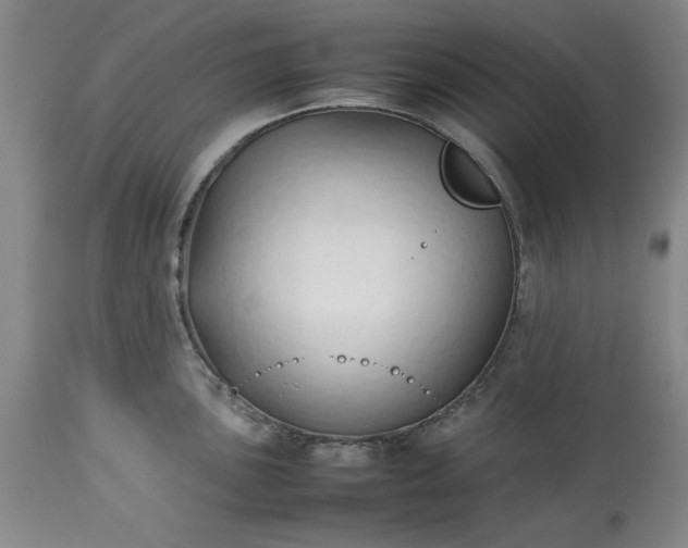 X0000113211051200909241419