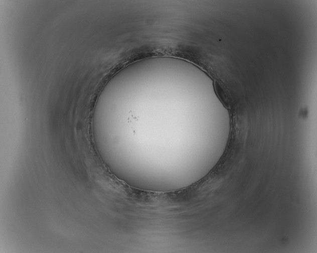 X0000113211057200909241418