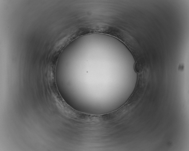 X0000113211058200909241418