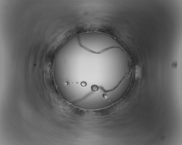 X0000113211059200909241418