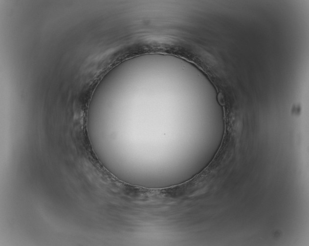 X0000113211061200909241418