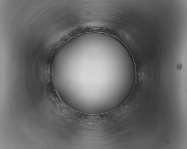 X0000113211062200909241418