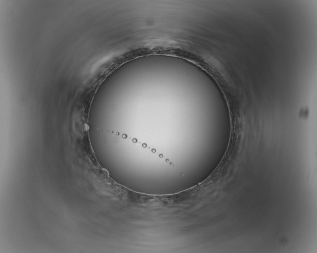 X0000113211063200909241418