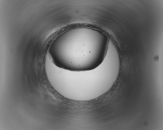 X0000113211064200909241418