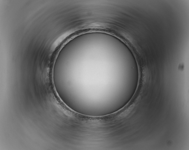 X0000113211066200909241418