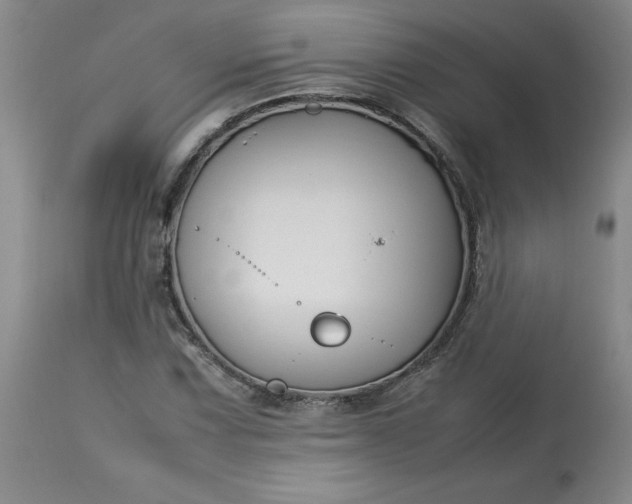 X0000113211067200909241418