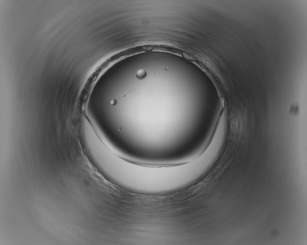 X0000113211068200909241418