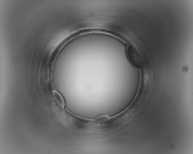 X0000113211069200909241418