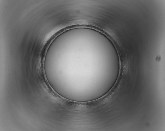 X0000113211070200909241418