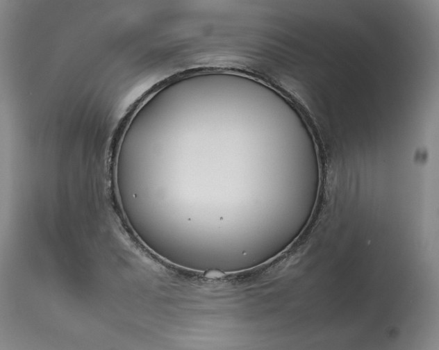 X0000113211071200909241418