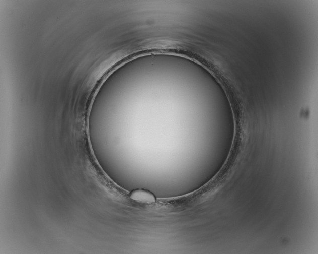 X0000113211073200909241418