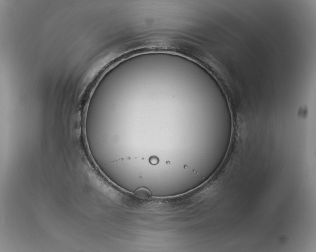 X0000113211075200909241418