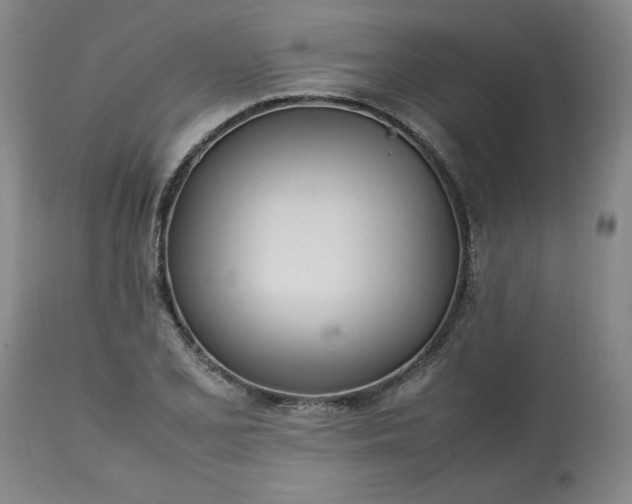 X0000113211077200909241418