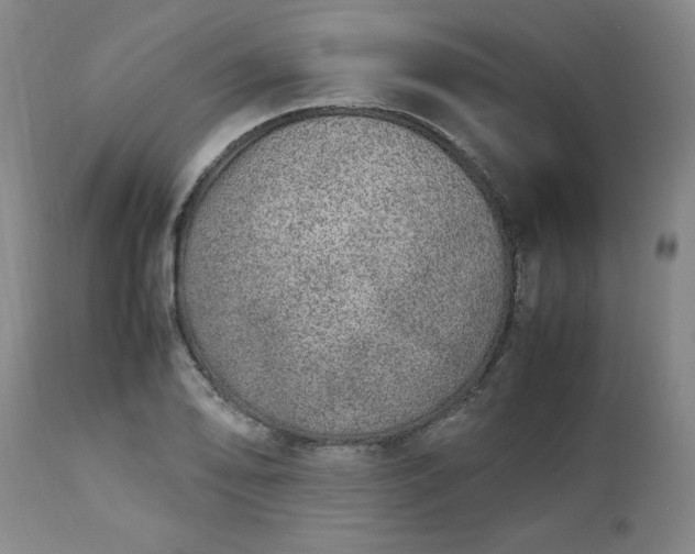 X0000113211078200909241418