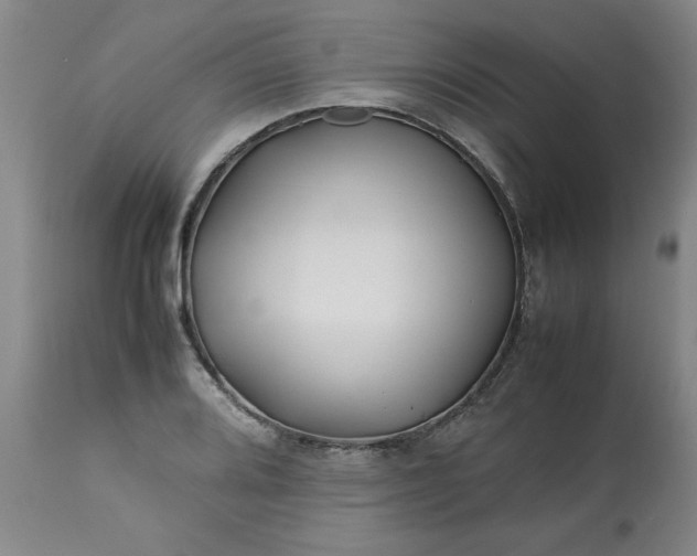 X0000113211080200909241418