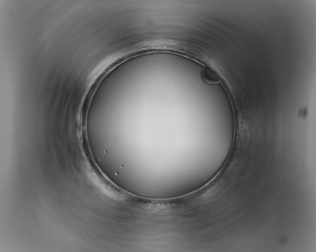 X0000113211082200909241418