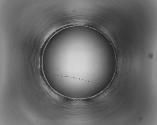 X0000113211083200909241418