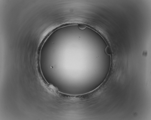 X0000113211085200909241418