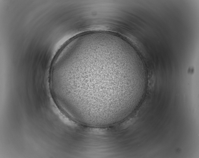 X0000113211086200909241418