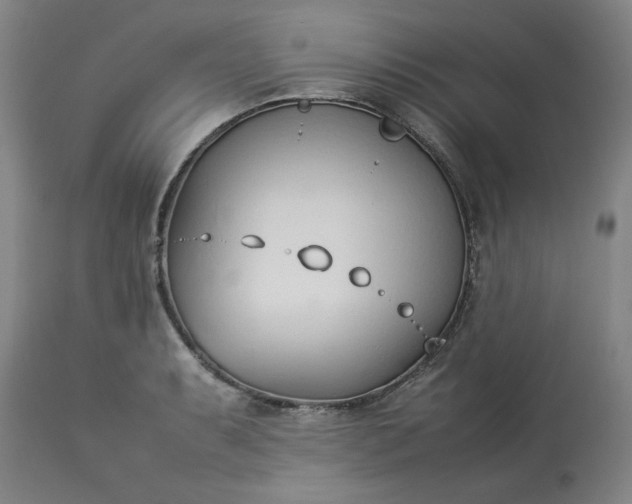 X0000113211087200909241418