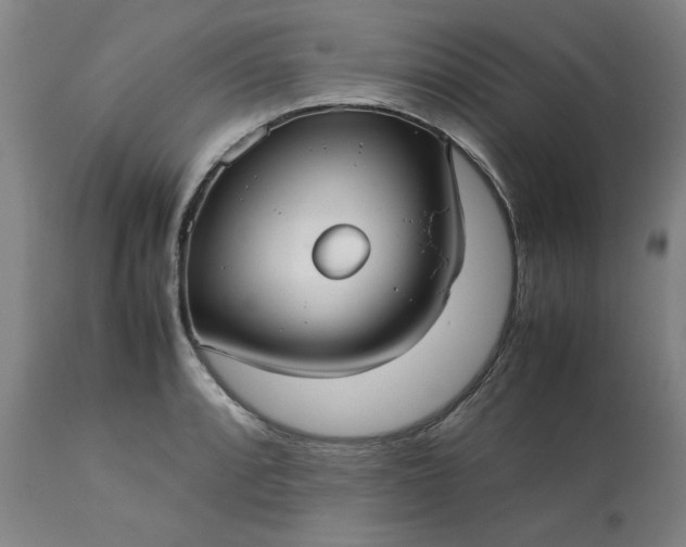 X0000113211088200909241418