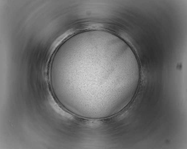 X0000113211090200909241418