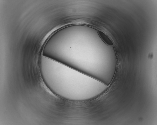 X0000113211092200909241417