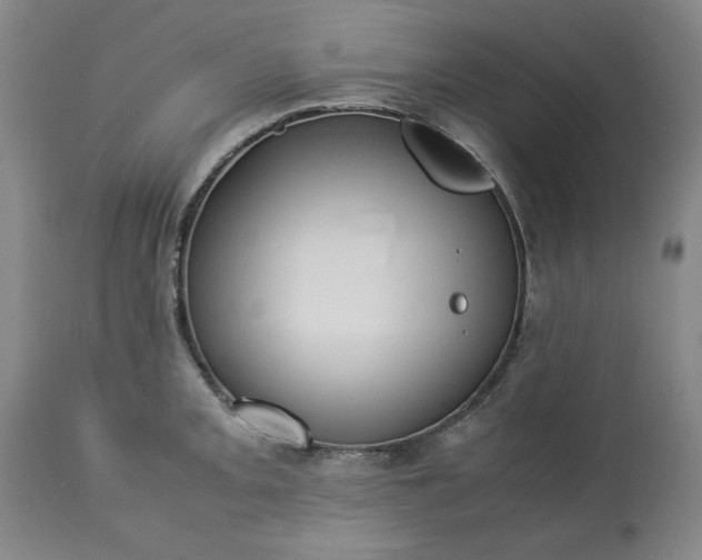 X0000113211093200909241417