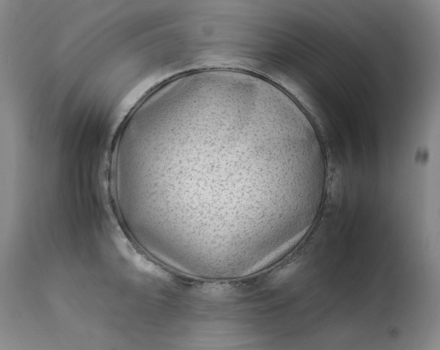 X0000113211094200909241417