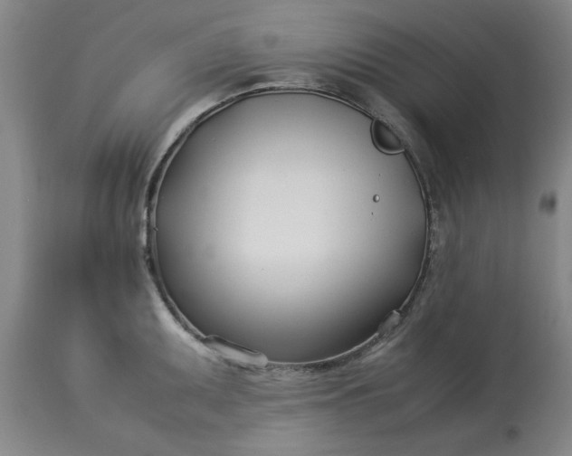 X0000113211095200909241417