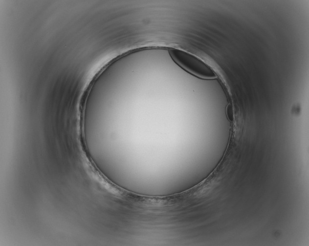 X0000113211096200909241417