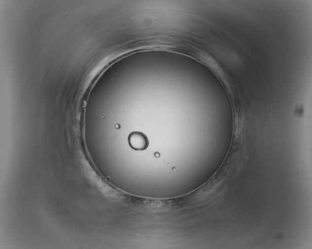 X0000113211099200909241417