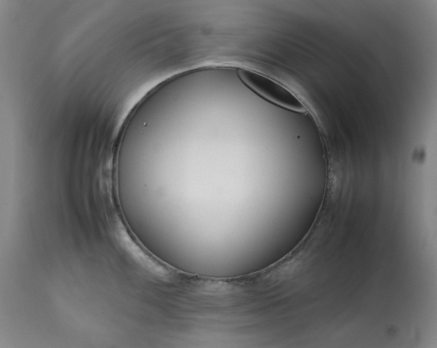 X0000113211100200909241417