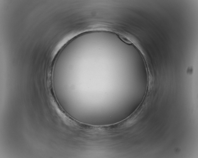 X0000113211101200909241417