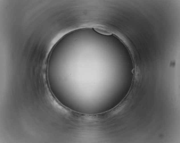 X0000113211102200909241417