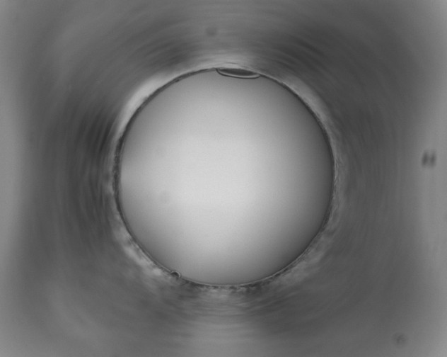 X0000113211104200909241417