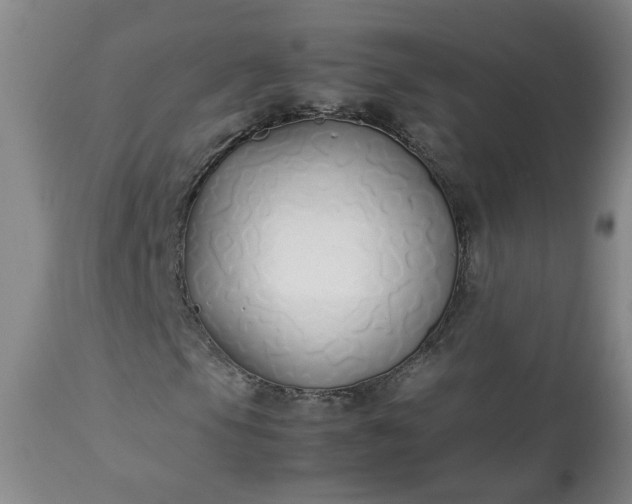 X0000113211105200909241416