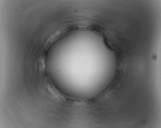 X0000113211106200909241417