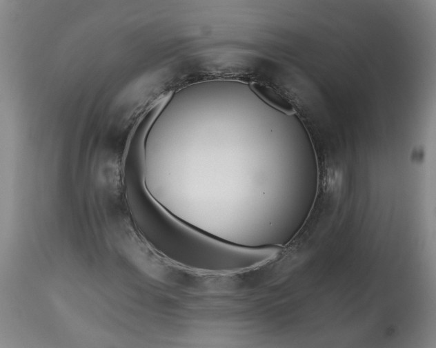 X0000113211108200909241417