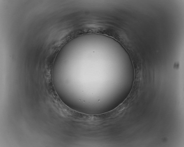 X0000113211109200909241417