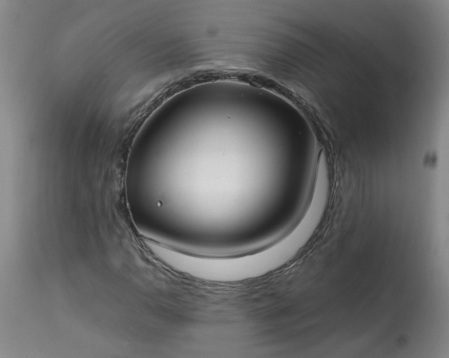 X0000113211110200909241417