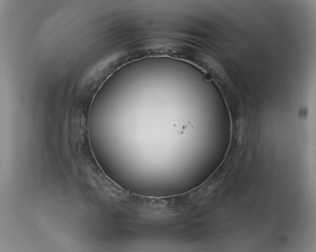 X0000113211111200909241417