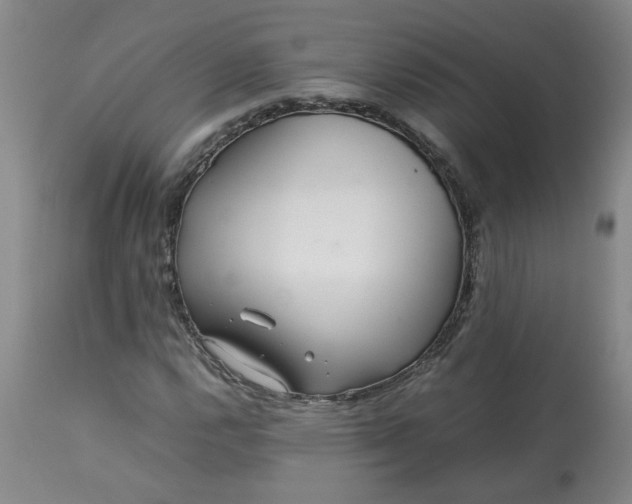 X0000113211112200909241417