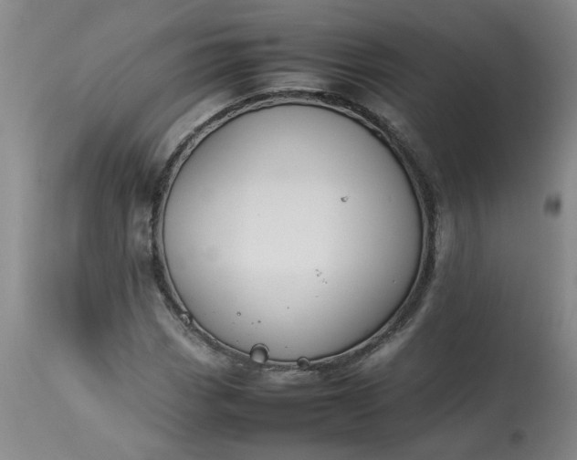 X0000113211113200909241417