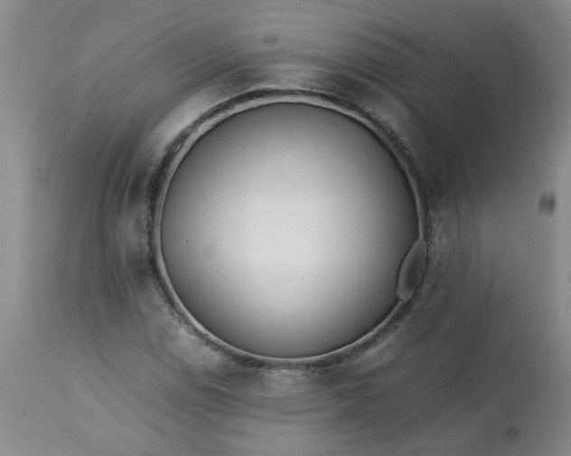 X0000113211114200909241417