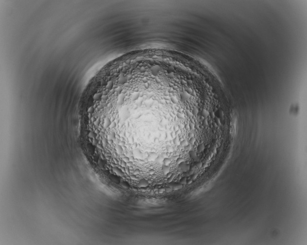 X0000113211117200909241417