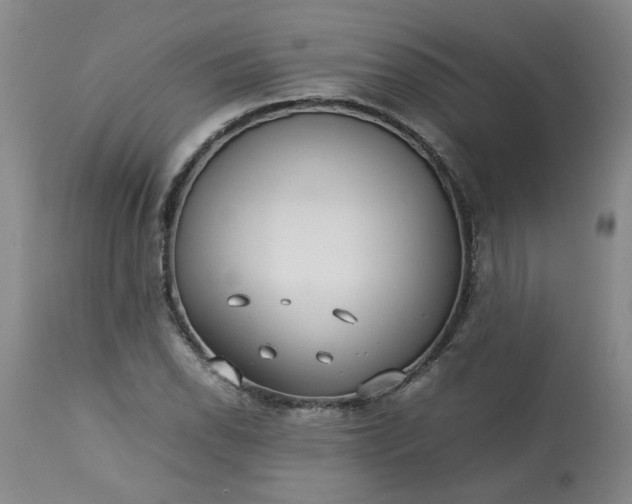 X0000113211118200909241417