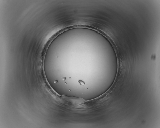 X0000113211119200909241417