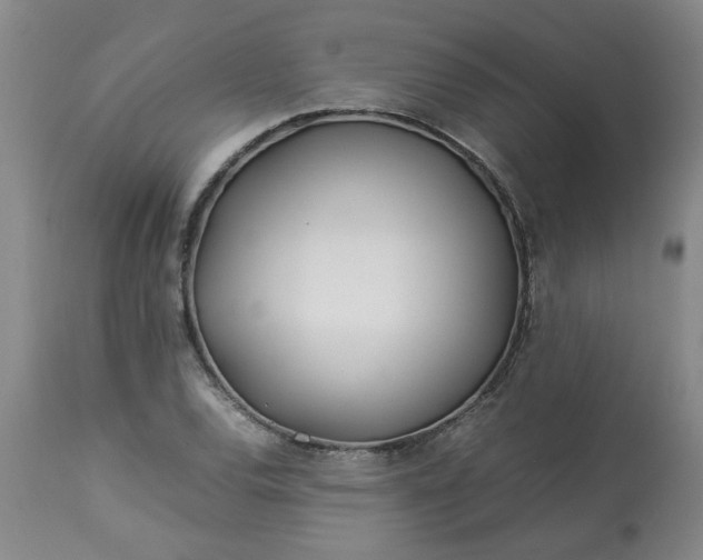 X0000113211120200909241417