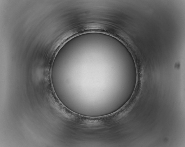 X0000113211121200909241417